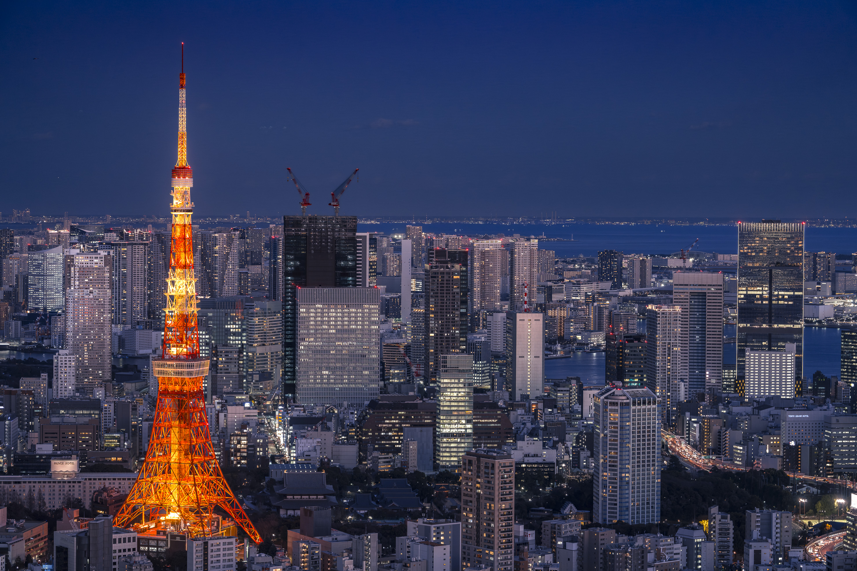 도쿄타워, 붉은 심장의 궤적 - 특집 페이지